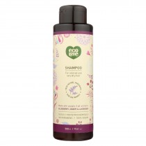 Ecolove Shampoo - Purple Fruit Shampoo For Colored And Very Dry Hair - Case Of 1 - 17.6 Fl Oz.