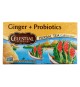Celestial Seasonings - Tea - Ginger And Probiotics - Case Of 6 - 20 Bags