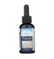 Ridgecrest Herbals - Clear Lungs Liquid - 1 Each - 2 Fz
